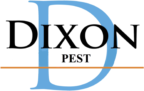 Pest Control Coupons And Deals | Dixon Pest Solutions
