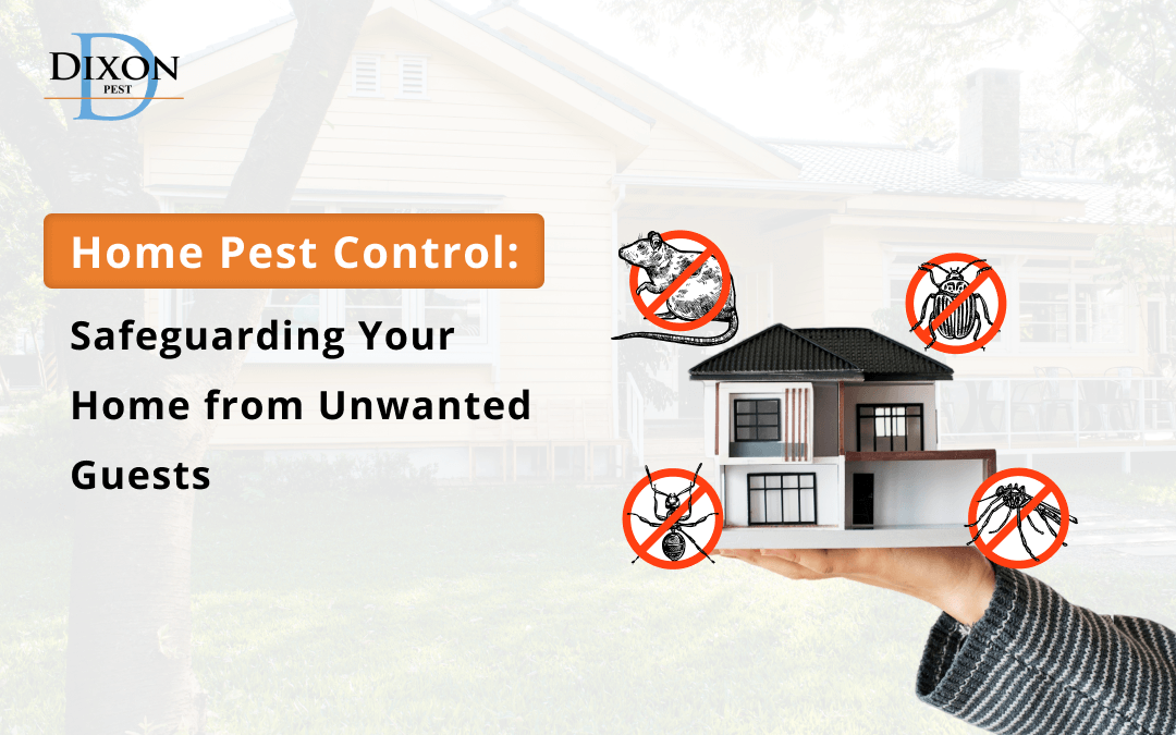 Home Pest Control: Safeguarding Your Home from Unwanted Guests