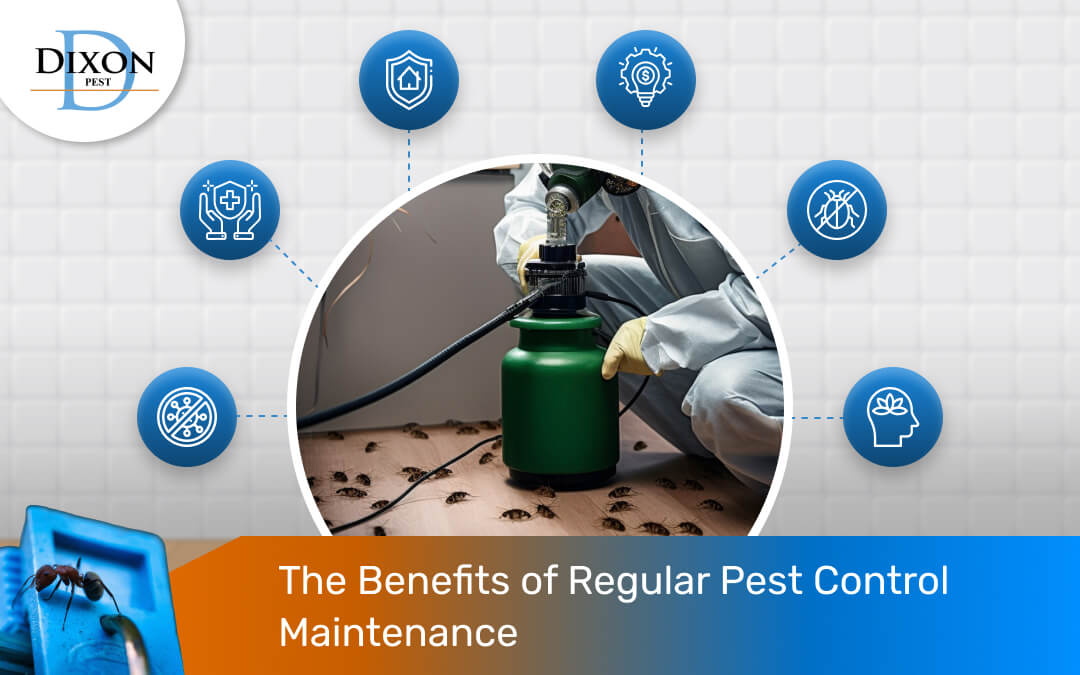 Pest Control Maintenance