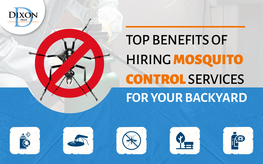 Top Benefits of Hiring Mosquito Control Services for Your Backyard