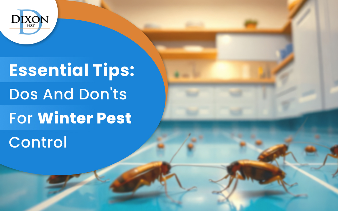 Essential Tips: Do’s and Don’ts for Winter Pest Control