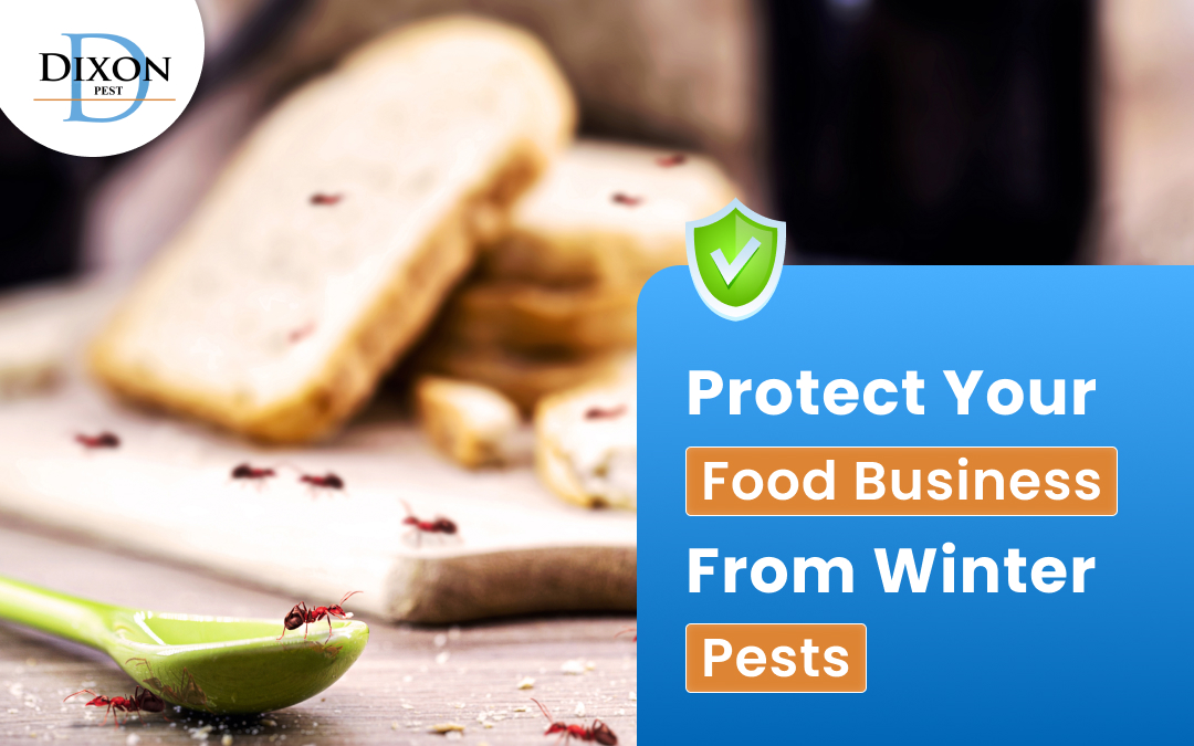 Protect Your Food Business from Winter Pests