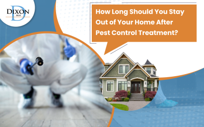 How Long Should You Stay Out of Your Home After Pest Control Treatment?